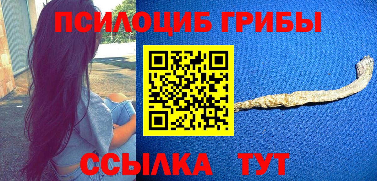 Малгобек  Галлюциногенные грибы Cubensis  Вход с VPN 